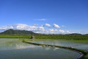 イメージ田園