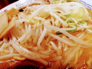 よし乃みそラーメンのもやし